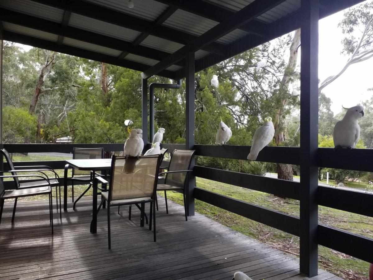 Cockatoo Cabin ฮอลส์แกป ภายนอก รูปภาพ